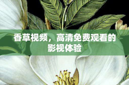 香草视频，高清免费观看的影视体验