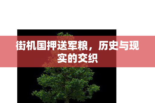 街机国押送军粮，历史与现实的交织