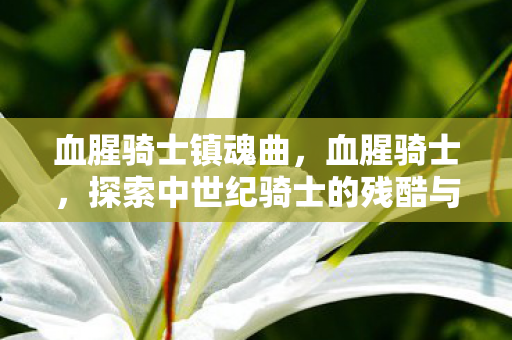 血腥骑士镇魂曲，血腥骑士，探索中世纪骑士的残酷与荣耀