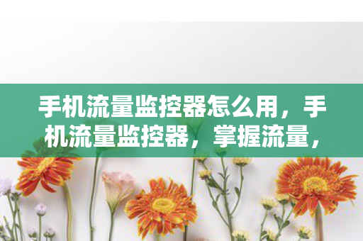 手机流量监控器怎么用，手机流量监控器，掌握流量，优化生活