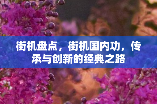 街机盘点，街机国内功，传承与创新的经典之路