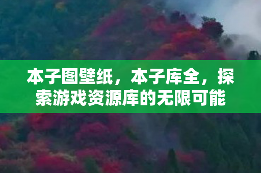 本子图壁纸，本子库全，探索游戏资源库的无限可能