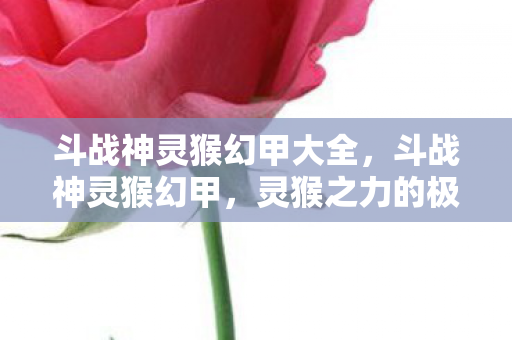 斗战神灵猴幻甲大全，斗战神灵猴幻甲，灵猴之力的极致展现