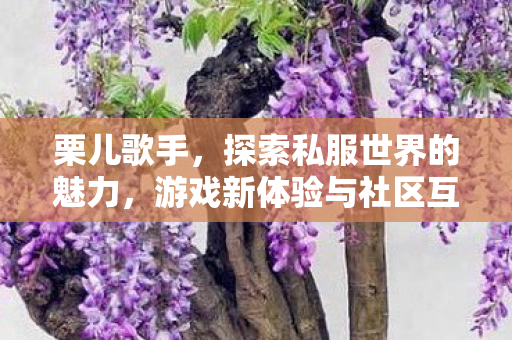 栗儿歌手，探索私服世界的魅力，游戏新体验与社区互动