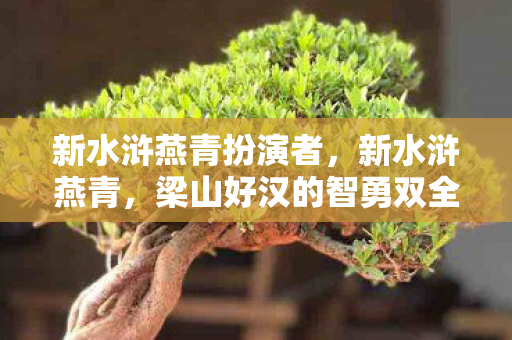 新水浒燕青扮演者，新水浒燕青，梁山好汉的智勇双全