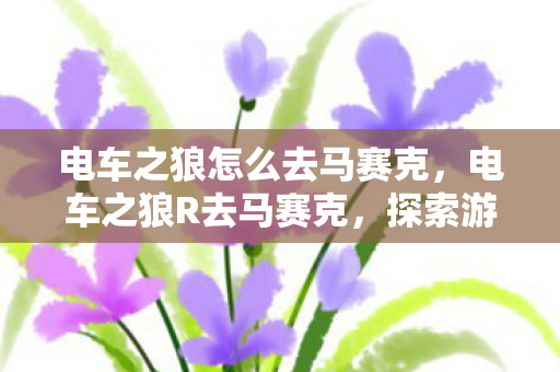 电车之狼怎么去马赛克，电车之狼R去马赛克，探索游戏世界的视觉盛宴