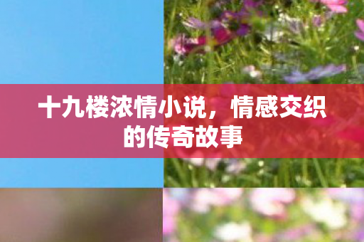 十九楼浓情小说，情感交织的传奇故事