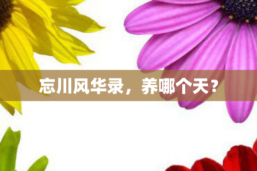 忘川风华录，养哪个天？