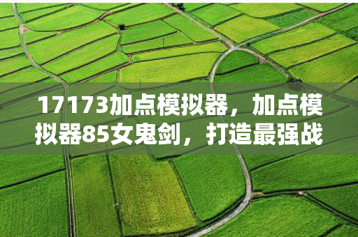 17173加点模拟器，加点模拟器85女鬼剑，打造最强战斗力的关键策略