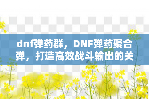dnf弹药群，DNF弹药聚合弹，打造高效战斗输出的关键