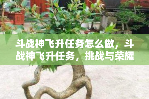 斗战神飞升任务怎么做，斗战神飞升任务，挑战与荣耀的终极之旅
