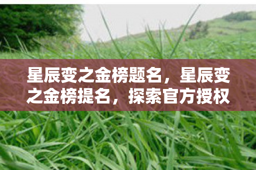 星辰变之金榜题名，星辰变之金榜提名，探索官方授权的独特魅力