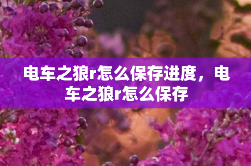电车之狼r怎么保存进度，电车之狼r怎么保存