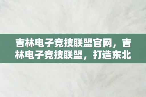 吉林电子竞技联盟官网，吉林电子竞技联盟，打造东北电竞新地标
