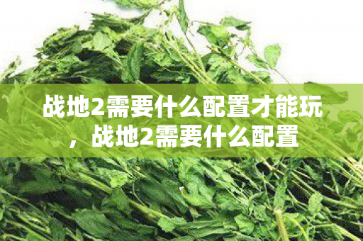 战地2需要什么配置才能玩，战地2需要什么配置