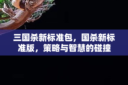 三国杀新标准包，国杀新标准版，策略与智慧的碰撞