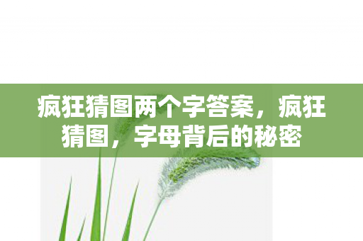 疯狂猜图两个字答案，疯狂猜图，字母背后的秘密