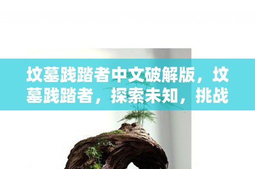 坟墓践踏者中文破解版，坟墓践踏者，探索未知，挑战禁忌的冒险之旅