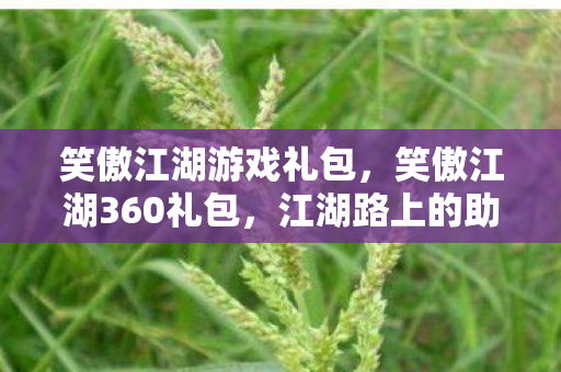 笑傲江湖游戏礼包，笑傲江湖360礼包，江湖路上的助力神器