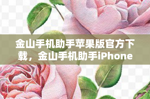金山手机助手苹果版官方下载，金山手机助手iPhone版，打造高效便捷的移动设备管理新体验