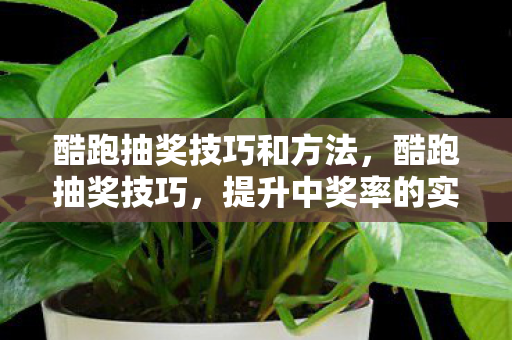 酷跑抽奖技巧和方法，酷跑抽奖技巧，提升中奖率的实用策略