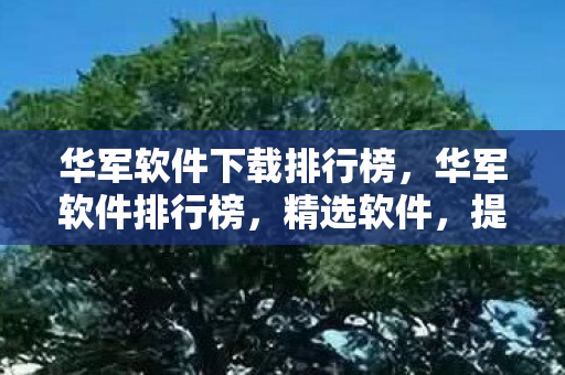 华军软件下载排行榜，华军软件排行榜，精选软件，提升工作效率与生活品质