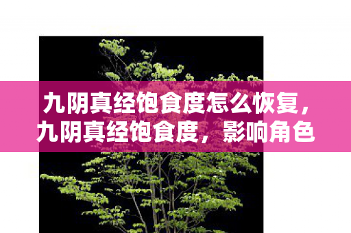 九阴真经饱食度怎么恢复，九阴真经饱食度，影响角色状态与游戏策略的关键因素