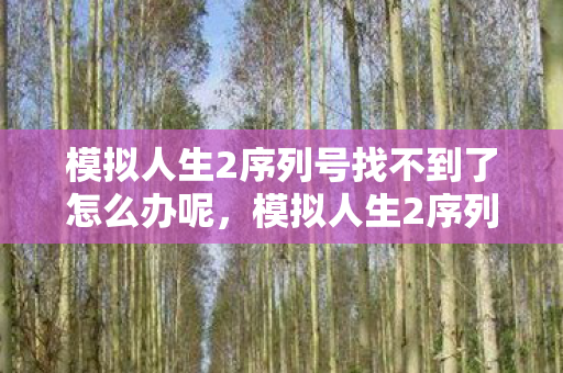 模拟人生2序列号找不到了怎么办呢，模拟人生2序列号，解锁无限可能的钥匙