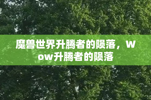 魔兽世界升腾者的陨落，Wow升腾者的陨落