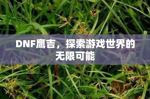 DNF鹰吉，探索游戏世界的无限可能