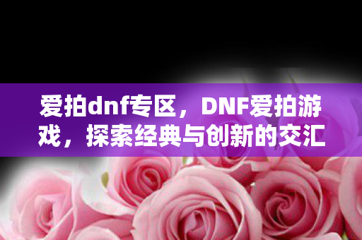 爱拍dnf专区，DNF爱拍游戏，探索经典与创新的交汇点