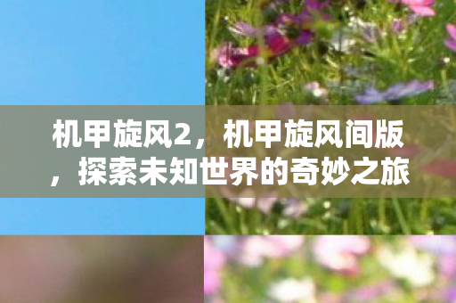 机甲旋风2，机甲旋风间版，探索未知世界的奇妙之旅