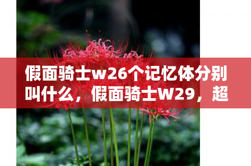 假面骑士w26个记忆体分别叫什么，假面骑士W29，超越时空的勇者传说