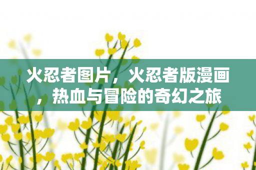 火忍者图片，火忍者版漫画，热血与冒险的奇幻之旅