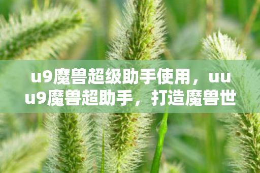 u9魔兽超级助手使用，uuu9魔兽超助手，打造魔兽世界的全新游戏体验