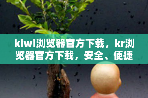 kiwi浏览器官方下载，kr浏览器官方下载，安全、便捷、高效的浏览体验