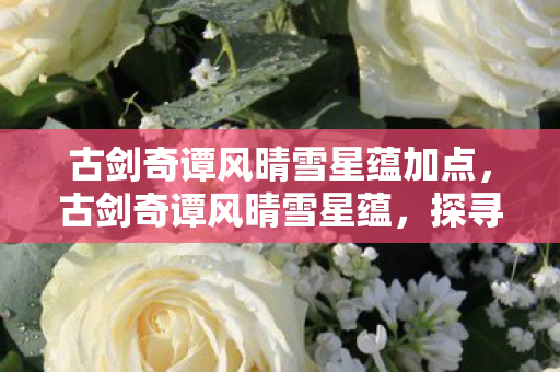 古剑奇谭风晴雪星蕴加点，古剑奇谭风晴雪星蕴，探寻游戏世界的神秘力量