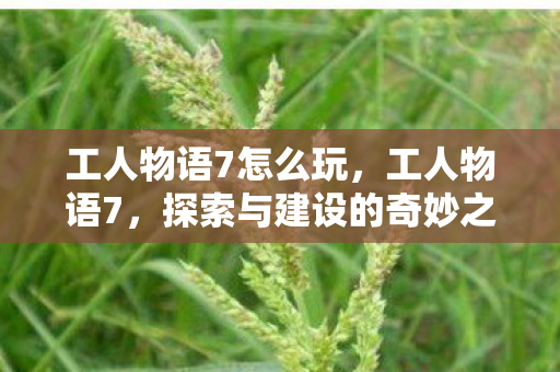 工人物语7怎么玩，工人物语7，探索与建设的奇妙之旅