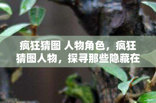 疯狂猜图 人物角色，疯狂猜图人物，探寻那些隐藏在图片中的传奇身影