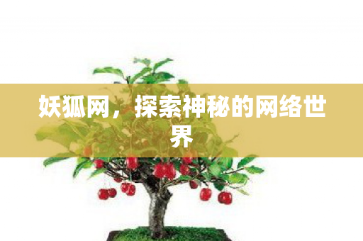 妖狐网，探索神秘的网络世界