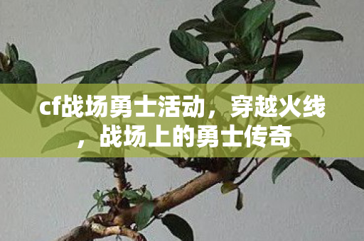 cf战场勇士活动，穿越火线，战场上的勇士传奇