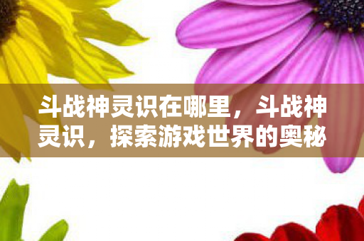 斗战神灵识在哪里，斗战神灵识，探索游戏世界的奥秘与策略