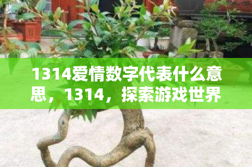 1314爱情数字代表什么意思，1314，探索游戏世界的无限可能