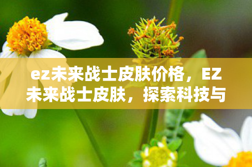 ez未来战士皮肤价格，EZ未来战士皮肤，探索科技与时尚的完美融合