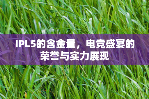 IPL5的含金量，电竞盛宴的荣誉与实力展现