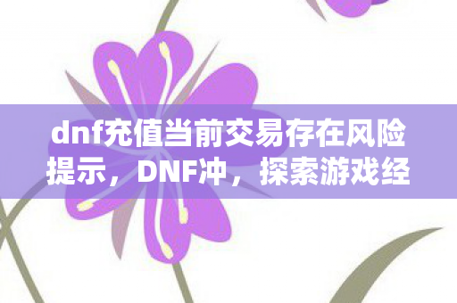 dnf充值当前交易存在风险提示，DNF冲，探索游戏经济系统的奥秘与影响