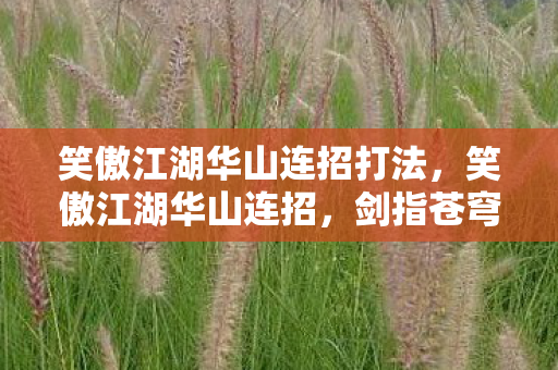 笑傲江湖华山连招打法，笑傲江湖华山连招，剑指苍穹，气吞山河