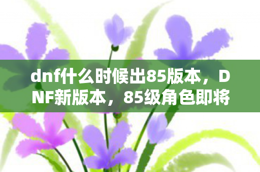 dnf什么时候出85版本，DNF新版本，85级角色即将登场