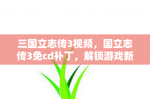 三国立志传3视频，国立志传3免cd补丁，解锁游戏新体验，安全使用是关键