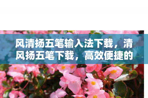 风清扬五笔输入法下载，清风扬五笔下载，高效便捷的五笔输入法新选择